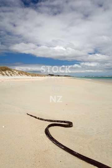 Karikari Beach in the Far North, Northland, New Zealand