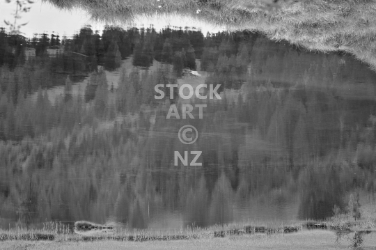 Lake reflections - Lauenensee, Gstaad, Bernese Oberland, Switzerland