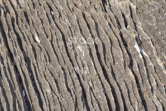 Limestone rock formations on a Northland beach