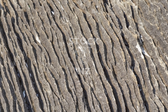Limestone rock formations on a Northland beach - Close up of karst formations on the Waipu Coastal Trail, New Zealand