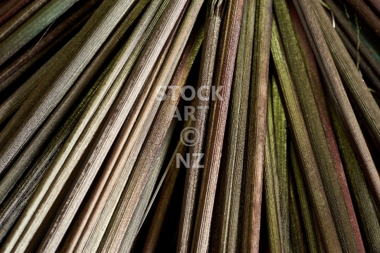 Macro closeup of flax pokinikini - New Zealand flax weaving in detail