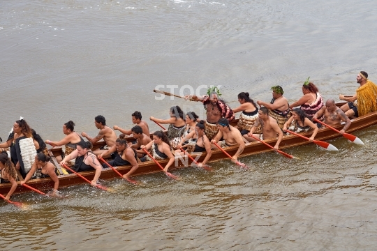 Maori waka during Waitangi Day celebrations - Northland, New Zealand - Traditional canoe with paddlers, commemorating the treaty of New Zealand between Maori and the British Crown