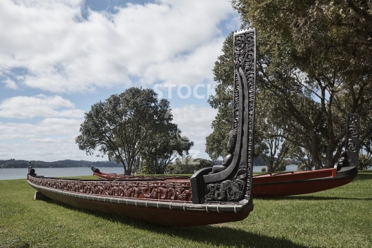 Maori waka out on the Waitangi Treaty Grounds lawn