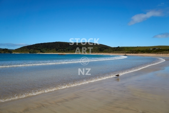 Matai Bay beach at sunset - Karikari Peninsula, Northland