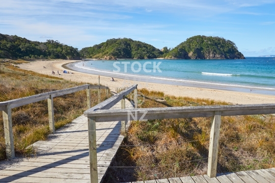 Matapouri Beach in Northland, New Zealand - Getting down to the beautiful sandy bay on the Tutukaka Coast