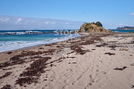 Mimiwhangata beach - Northland, NZ