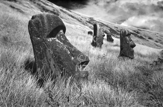 Moai statues - Rano Raraku, Easter Island - Vintage black & white low resolution photo of the Moai standing lonely at the bottom of the volcano, Rapa Nui 1995