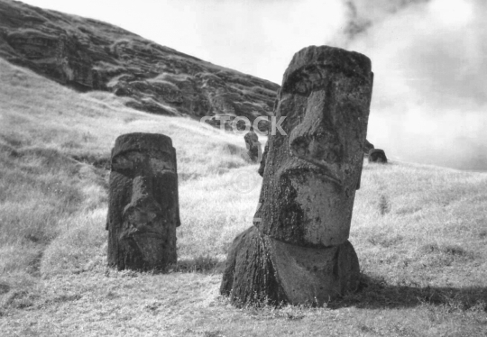 Moai statues standing at Rano Raraku quarry - Easter Island, Rapa Nui - Black & white vintage low resolution photo from 1995 at Rano Raraku volcano