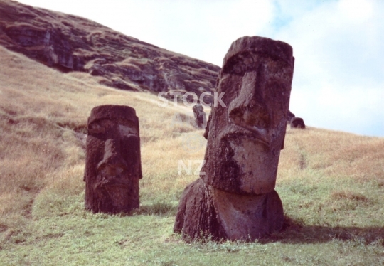 Moai statues standing in the grass - Easter Island, Rapa Nui