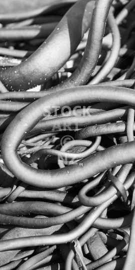 Mobile wallpaper: Abstract beach kelp closeup