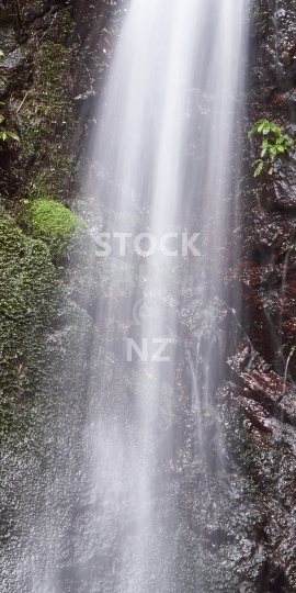 Mobile wallpaper: Closeup of a New Zealand waterfall - Bridal Veil Falls near Raglan, Waikato - Kiwi themed phone background picture, screen size ratio 18:9 (or fitting anything between 16:9 - 20:9)