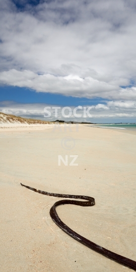 Mobile wallpaper: New Zealand beach in the Far North - Kiwi themed phone background picture, screen size ratio 18:9 (or fitting anything between 16:9 - 20:9) - Karikari Pensinsula beach