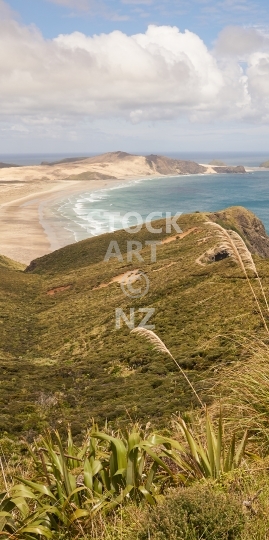 Mobile wallpaper: New Zealand beach near Cape Reinga - Kiwi themed phone background picture, screen size ratio 18:9 (or anything between 16:9 - 20:9)