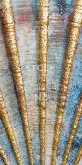 Mobile wallpaper: Scallop shell closeup