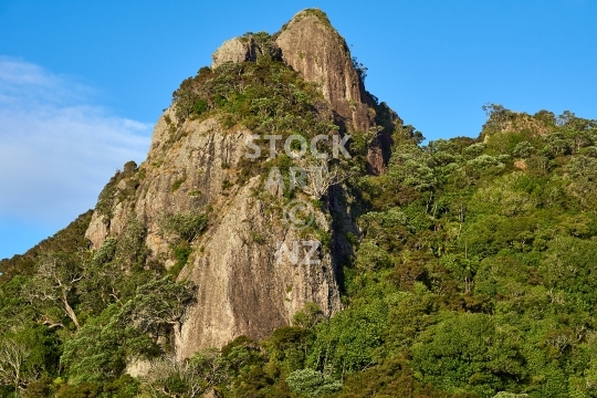 Mount Aubrey at Reotahi - View of Mt Aubrey volcano with native bush, at the Whangarei Heads, Northland, New Zealand