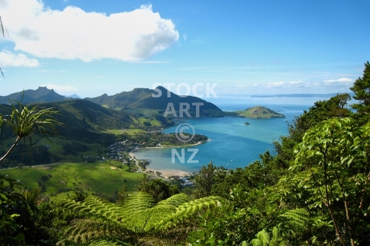 Mount Manaia view - Whangarei Heads, NZ - Beautiful lookout view with tree fern from Manaia over Taurikura and Urquharts Bay towards Bream Head