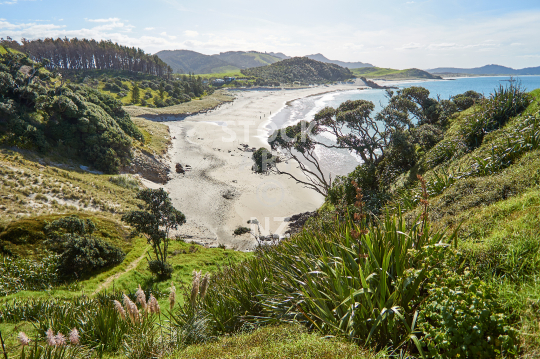 Ocean Beach at the Whangarei Heads, Northland NZ -                                
