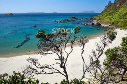 Ocean Beach east, Whangarei Heads, Northland NZ