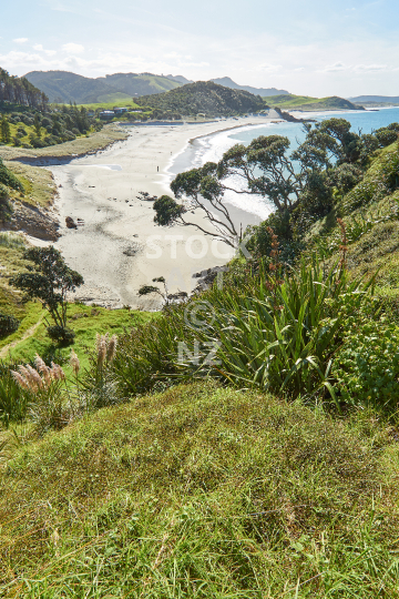 Ocean Beach lookout - Viewpoint above the most beautiful Whangarei Heads beach