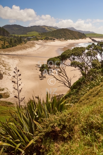Ocean Beach near Whangarei, Whangarei Heads, Northland, New Zealand - View of Ocean Beach from a lookout - a wonderful Whangarei Heads surf beach, on the Te Araroa Trail. Vertical portrait format.