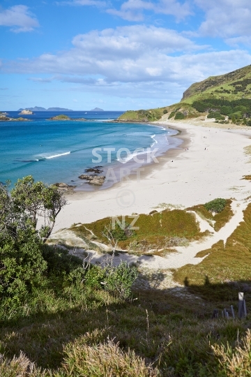 Ocean Beach with white sand and waves - Whangarei Heads, Northland