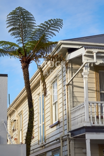 Old villa with tree fern in Raglan - Waikato, NZ