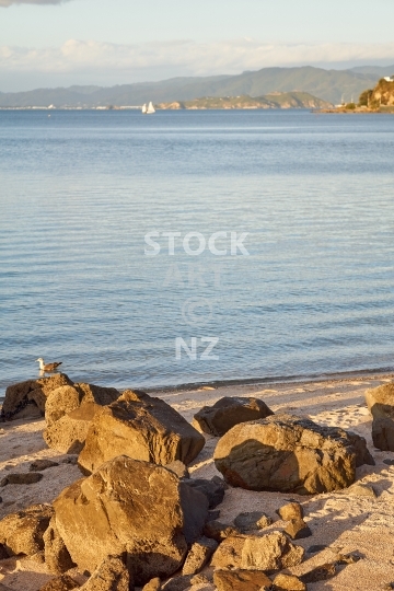 Oriental Bay beach - Wellington, NZ - Sand and rocks in Wellington’s favourite bay