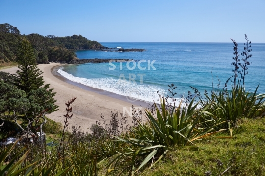Otamure Bay with flax on the beautiful Whananaki coast