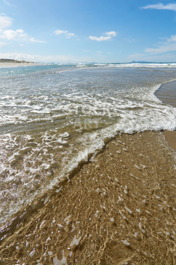Pakiri Beach river estuary