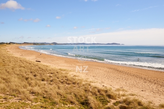 Pataua North beach, Northland, New Zealand