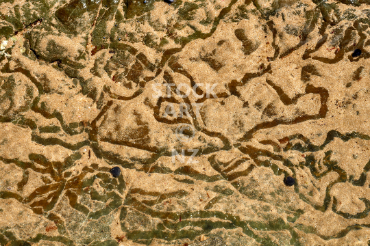 Patterns on the sandy ocean floor