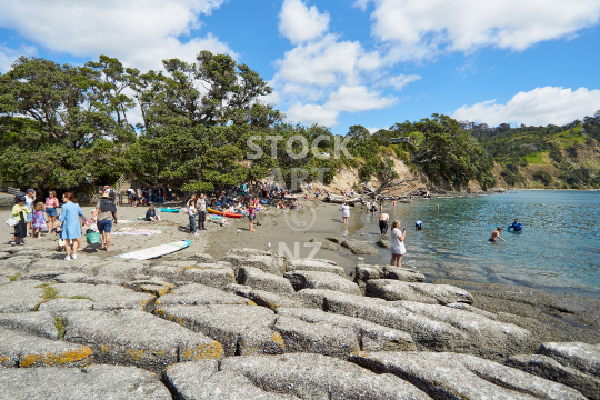 People on the beach at Goat Island, Auckland NZ - Visitors snorkelling in the popular marine reserve