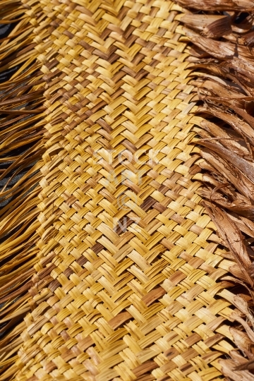 Pingao weaving  - Traditional weaving plant fibre in New Zealand, also known as golden sand sedge, pikao or ficinia