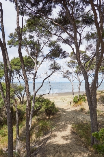 Pouto Point beach access - Kaipara Harbour, Pouto Peninsula, Northland, NZ - The end of the road, of Kaipara Harbour and of Ripiro Beach
