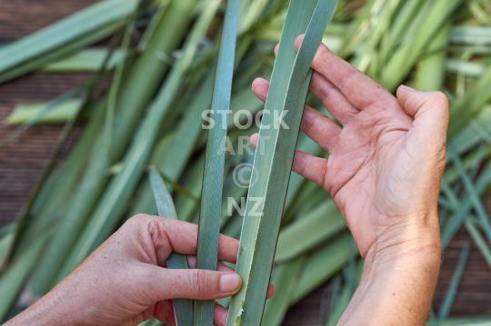 Prepping flax for weaving