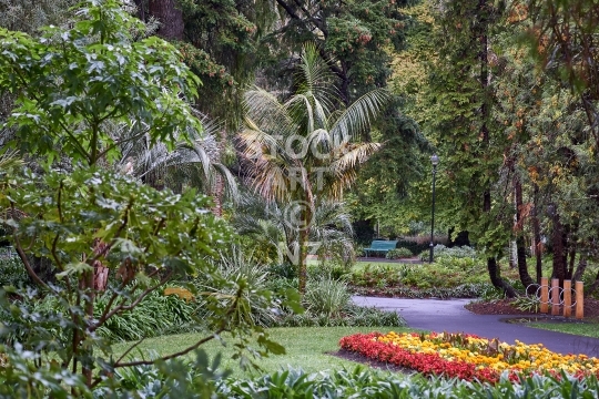 Queens Gardens in Nelson, NZ