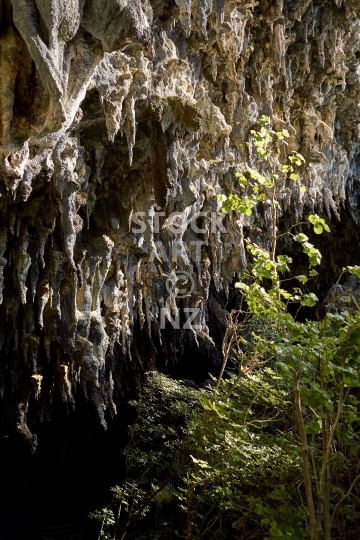 Rawhiti cave cliff - Takaka, Golden Bay, NZ - Overhanging cliff full of stalactites outside the cave entrance
