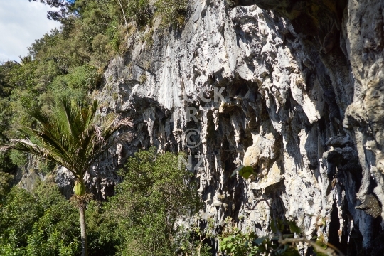 Rawhiti cave entrance - Takaka, Golden Bay, NZ