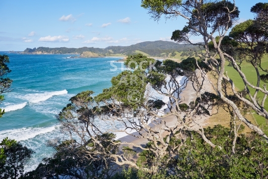Remote beach south of Mimiwhangata - Northland, NZ - South of Okupe Beach on the gorgeous Mimiwhangata peninsula on Whangarei District’s east coast, with surf waves and manuka trees