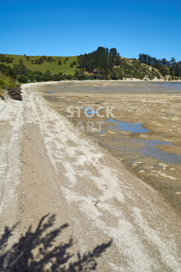 Remote Whakapirau in the Kaipara, Northland, NZ - Quiet beach at low tide