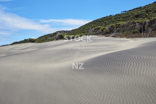 Ripiro Beach sand dunes - Pouto Peninsula, Northland, NZ