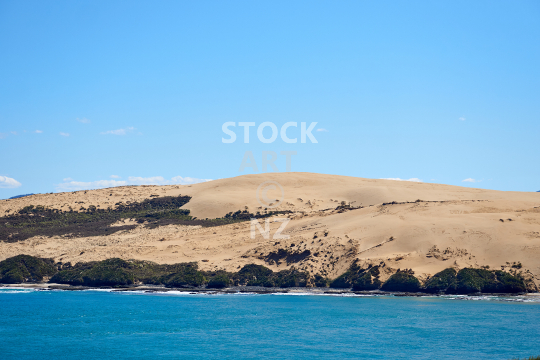 Sand dunes at Hokianga Harbour - Sightseeing in the Far North, Northland, New Zealand