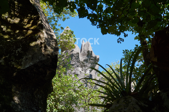 Sharp limestone formation in Abbey Caves Reserve - Whangarei, Northland, NZ