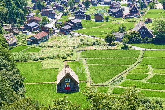 Shirakawa-go village in Japan from above - Featuring funny, smiling Gassho style farm houses in the Japanese mountains, Gokayama region, Japan                               