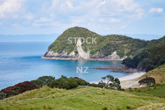 Smugglers Bay from top - Whangarei Heads, Northland, New Zealand