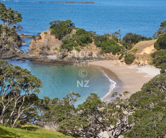 Splashback image: Beach on the Whananaki Coast, Northland, New Zealand - Kitchen splashback picture for standard size 900 x 750 mm