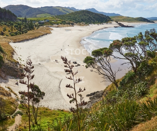 Splashback image: Ocean Beach - Whangarei Heads, Northland