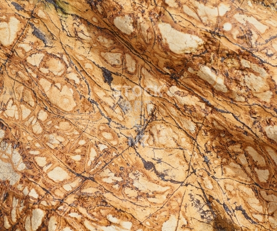 Splashback photo: Closeup of coastal rock in Northland NZ