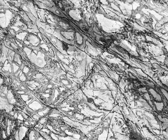 Splashback photo: Closeup of Tutukaka Coast rock