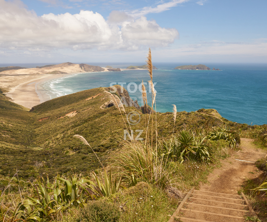 Splashback photo: Far north beach scene